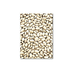 Great northan beans 550gm - RHF