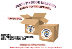 KKEMTECH Cargo TWIN Box Bound to Cebu,NegrosOccidental/Oriental, Bohol, Iloilo-Visayas Area – SAGAWA