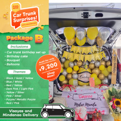 Car Trunk Surprise B Visayas & Mindanao Delivery