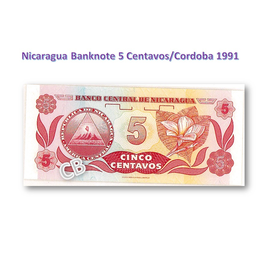5 センターボス ニカラグア 未使用 紙幣 札 1991年 / 5 Centavos
