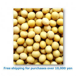 Soybeans 1kg / 大豆[37021043]