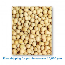 White Peas 1kg / エンドウ豆[37021046]