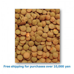 Mushri Whole(Lentil)1kg / レンズ豆皮付[37021103]