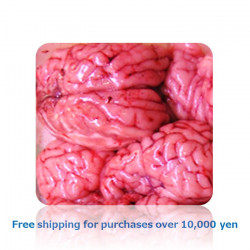 Mutton/Sheep Brain 羊脳[11070062]