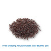 MUSTARD SEED 500g / マスタードシード[38023119]