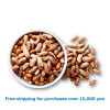Pinto Beans 1kg / ピント ビーンズ うずら豆[37021104]