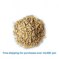 FENNEL SEED 100g / フェンネルシード[38023096]