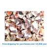 MUTTON SHANK CUT 1kg / マトンシャンクカット（すね部）[11040048]