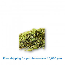 FENNEL SEED 500g / フェンネルシード [38023055]