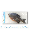 RED POMFRET WHOLE 1pc(around1kg) / 冷凍マナガツオ 1尾(約1kg)[12080143]