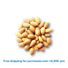 Almond 500g / アーモンド[39025136]