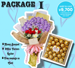 PACKAGE I