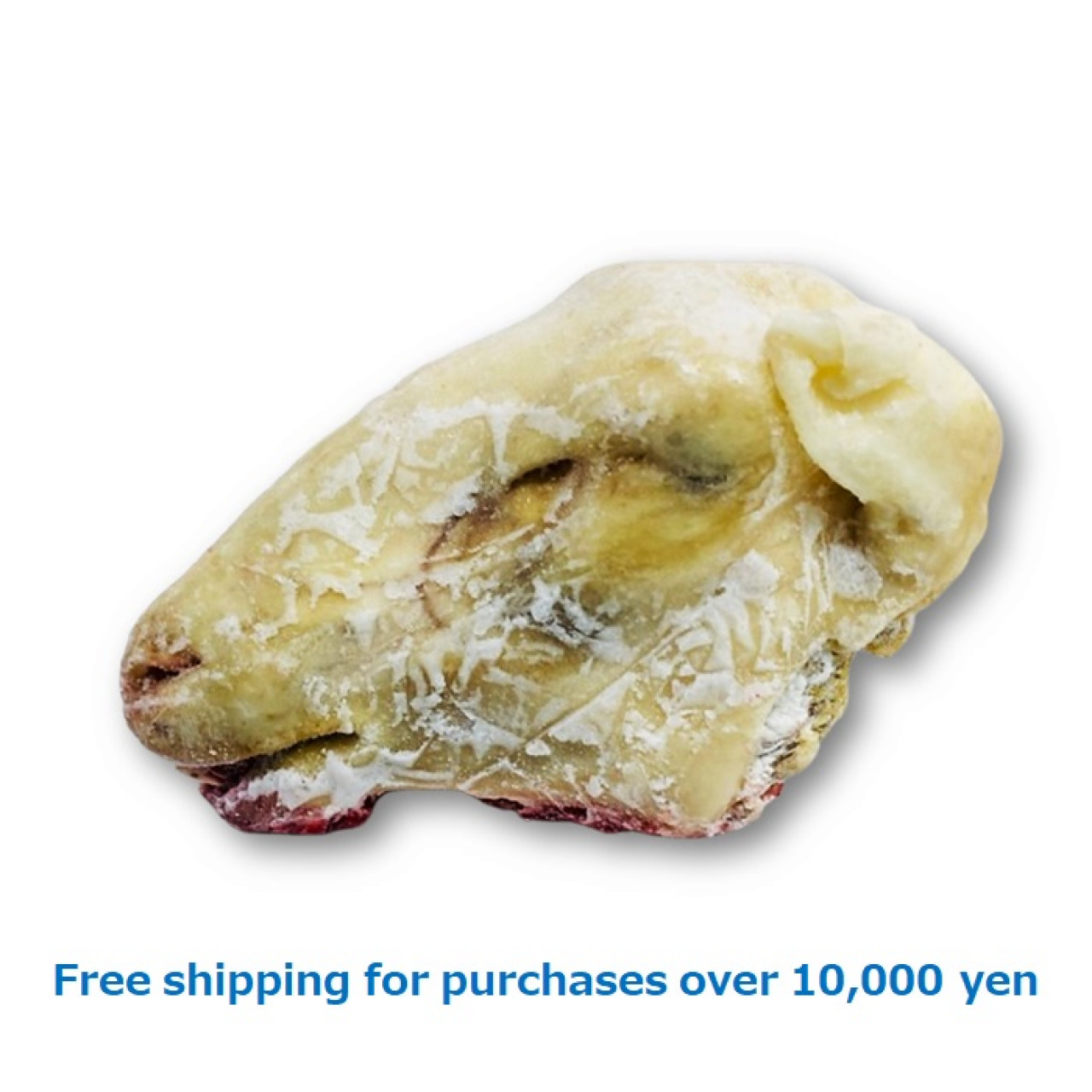 SHEEP HEAD 2200g (Plus/Minus) / 羊の頭 (Plus/Minus) [11070098]
