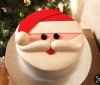 Christmas Cake 13